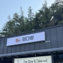 분홍강아지 | [충북혁신도시 애견카페] 드라이브 코스로 딱! 200평 강아지운동장 있는 멍다방 후기