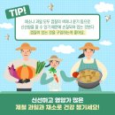싱싱과일채소