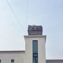 [국내여행/제주] 제주도 파티게스트하우스 끌림365 (여자 혼자 파티 참여 솔직후기)