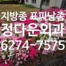 정다운외과의원 네이버블로그