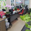 행정사 사무소 창 이미지