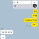 좋은날만 | 고령 숙소 '운수좋은날' 예약후기+링크 및 아쉬웠던점