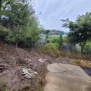 북포초교 이미지