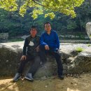 보길도 윤선도 원림 이미지