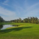 루비트리 이미지