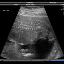 루비산부인과의원 이미지