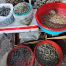 벌교5일시장 이미지