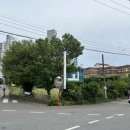 교리초등학교 주변 이미지