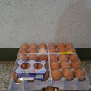 양곡농장 이미지