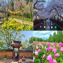 북면313 | 경남 가볼만한곳 봄꽃 명소 TOP8 추천 봄꽃 로드따라 떠나는 힐링여행