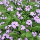 앞뜰농장 이미지