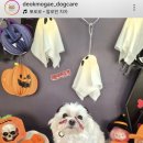 덕분이야모든개 이미지