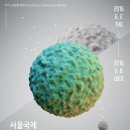 (주) 국제씨앤씨