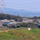 연한우목장 이미지