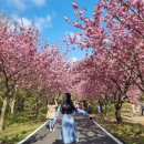 문수사 주차장 이미지