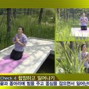 명상자세교정다이어트
