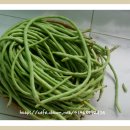 밤이농장 이미지