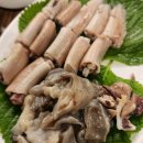 산꼼장어 이미지