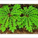 아침풍경 이미지