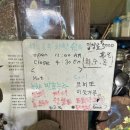 보람토건(하늘과구름) | 하동 하늘호수차밭쉼터 애견동반 카페 닥스훈트 여름이와 힐링 산책 후기