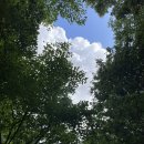 동탄공원로 이미지