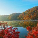 "충남 숲길로 아름다운 단풍 구경오세요" 이미지