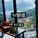 대형 주차장완비 대형카페 카엘리움 방문 후기