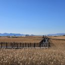 사하구 다대낙조1길, 2길 이미지