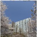 현대공인중개사 이미지