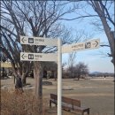 향청종합관광안내소 | 양평 두물머리 데이트 후기｜연잎핫도그 휴업? 그래도 산책은 최고였던 이유