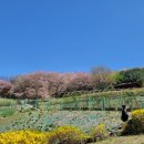 승학산 배드민턴장 이미지