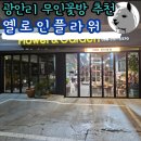 알파플라워 | 광안리해수욕장 남천역 근처 무인꽃집 옐로인플라워 방문 후기