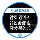 강동24시SKY 동물병원 이미지