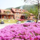 한증막펜션 이미지