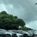 미남목장 | [제주도/추천] 제주 아이랑 체험, 이색데이트 하기 좋은 아침미소목장(우유주기/먹이주기 체험!)