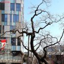 지금 시작하는 나만의 수채화 이미지