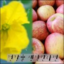 남상주농협외남지점 이미지