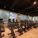 마블피트니스 이미지