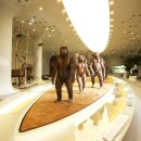 전곡 선사박물관 이미지