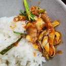 정윤기 황칠낙지 이미지