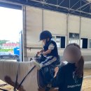 교하운정스카이승마장 이미지