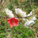 오길농장 이미지