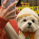 지움의원 이미지