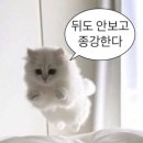 (주)제윤 | 가짜 졸업생 인사드립니다