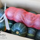 바노마트 이미지