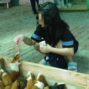 임실사슴농장 | 평창아이들과 가볼만한곳 숲속에동물농장