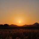 승주국밥 이미지