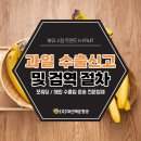 해운유통과일