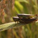 빨간지붕 이미지