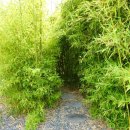 루아네 하우스 이미지